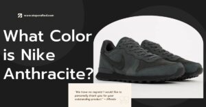 What Color is Nike Anthracite